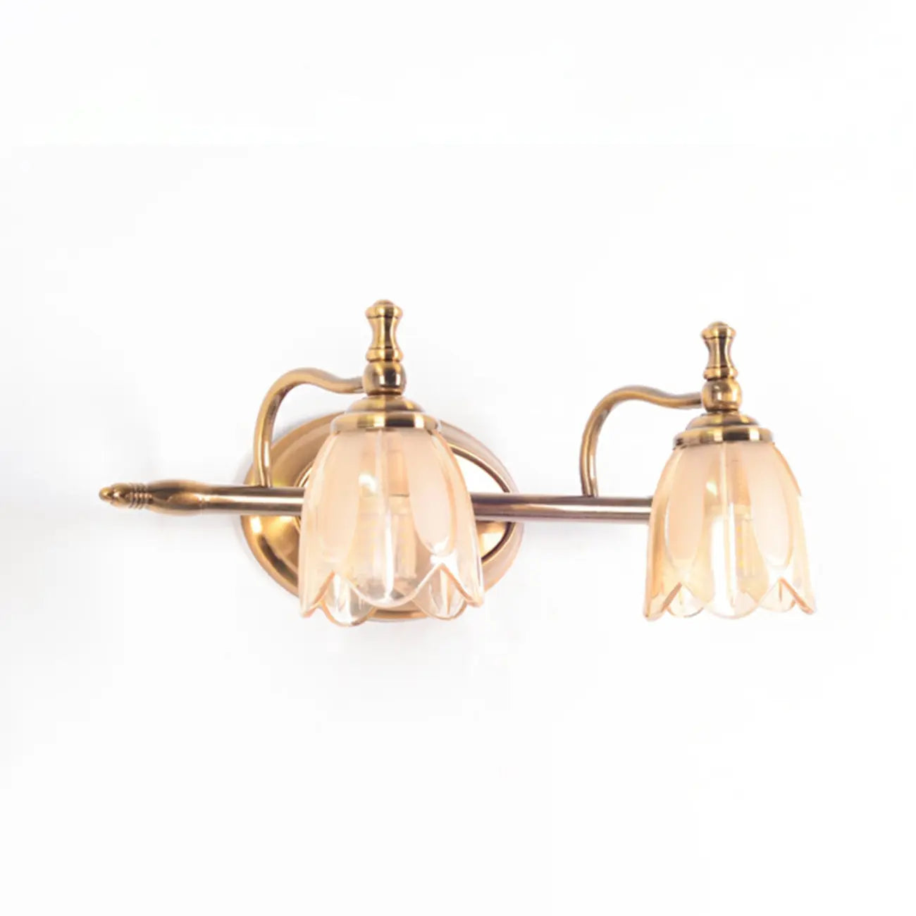 Contemporary Metal Vanity Light with Floral Glass Shade
