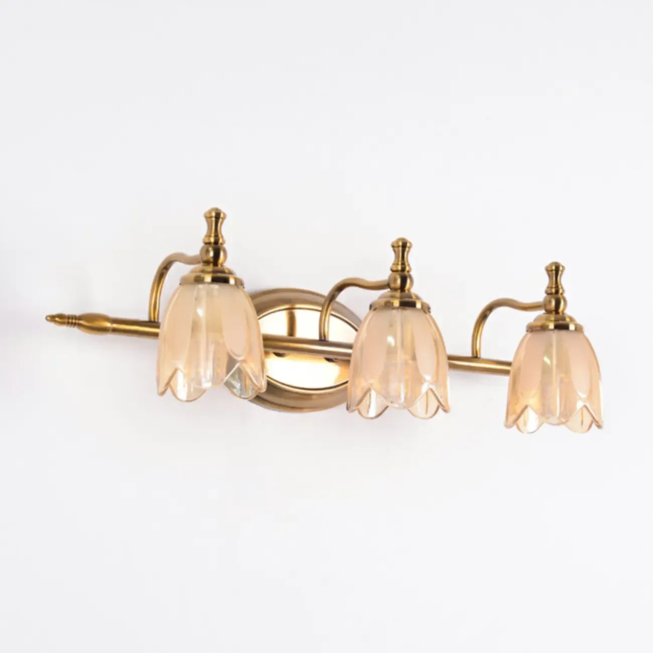 Contemporary Metal Vanity Light with Floral Glass Shade