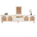 Modern Wood Curved Glass Door Black TV Stand with Light