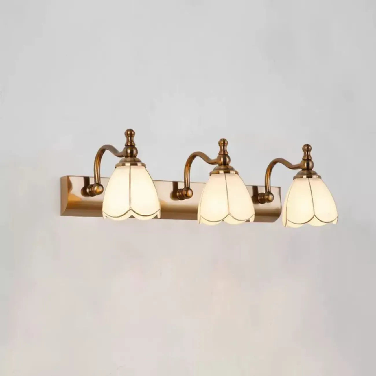 Elegant Gold Bathroom Vanity Light Frosted Floral Glass Shade