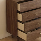 Mid-Century Modern Brown Wood Storage Cabinet for Living Room