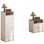 Modern White Wooden Utility Storage Cabinet for Living Room