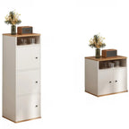 Modern White Wooden Utility Storage Cabinet for Living Room