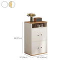 Modern White Wooden Utility Storage Cabinet for Living Room