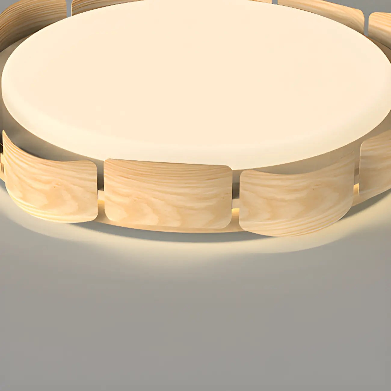 Circle Dimmable 2-Light Flush Mount Ceiling Light Fixture