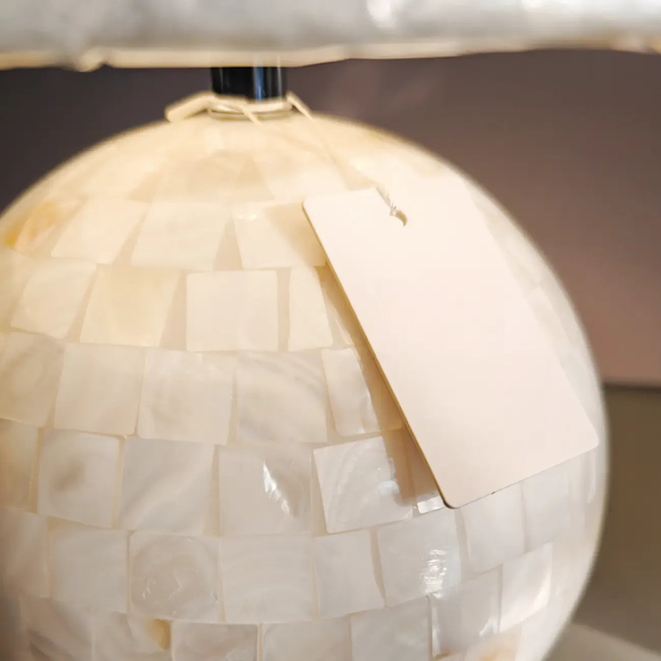 Modern Shell Table Lamp with Geometric Shade