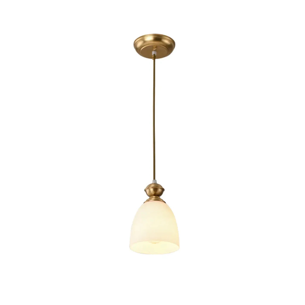 Indoor Clear Glass Pendant Lights Fixture with Adjustable Height