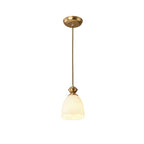 Indoor Clear Glass Pendant Lights Fixture with Adjustable Height