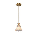 Indoor Clear Glass Pendant Lights Fixture with Adjustable Height