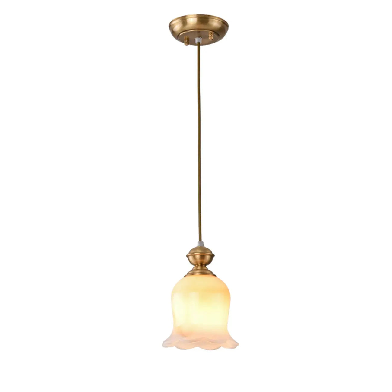 Indoor Clear Glass Pendant Lights Fixture with Adjustable Height