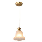 Indoor Clear Glass Pendant Lights Fixture with Adjustable Height