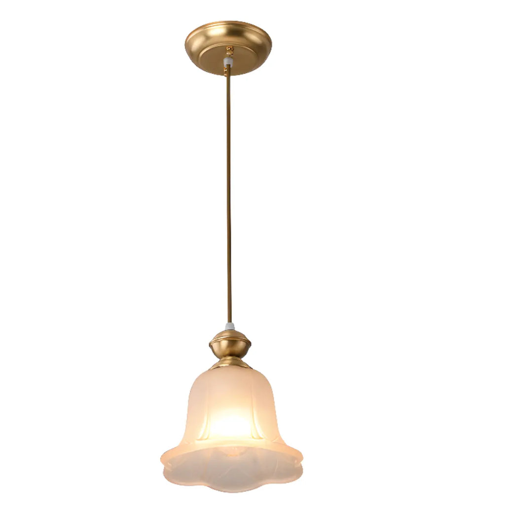 Indoor Clear Glass Pendant Lights Fixture with Adjustable Height