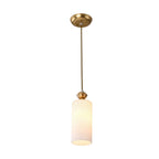 Indoor Clear Glass Pendant Lights Fixture with Adjustable Height