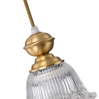 Indoor Clear Glass Pendant Lights Fixture with Adjustable Height