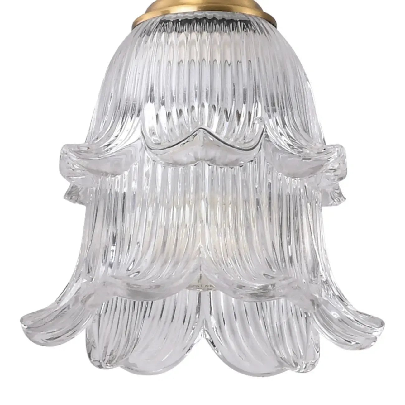 Indoor Clear Glass Pendant Lights Fixture with Adjustable Height