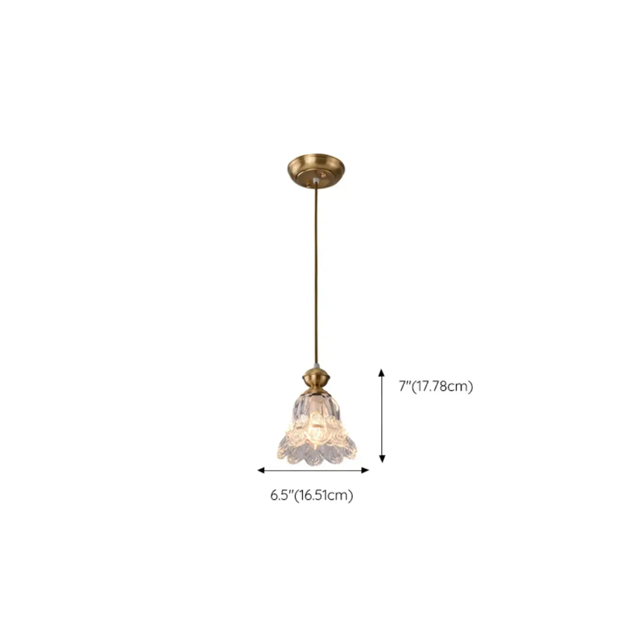 Indoor Clear Glass Pendant Lights Fixture with Adjustable Height