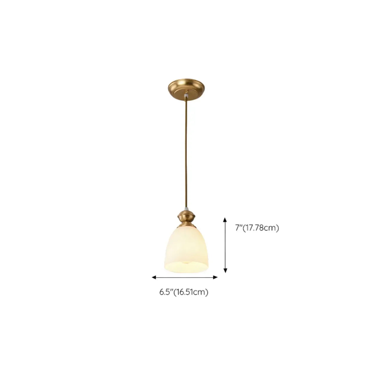 Indoor Clear Glass Pendant Lights Fixture with Adjustable Height