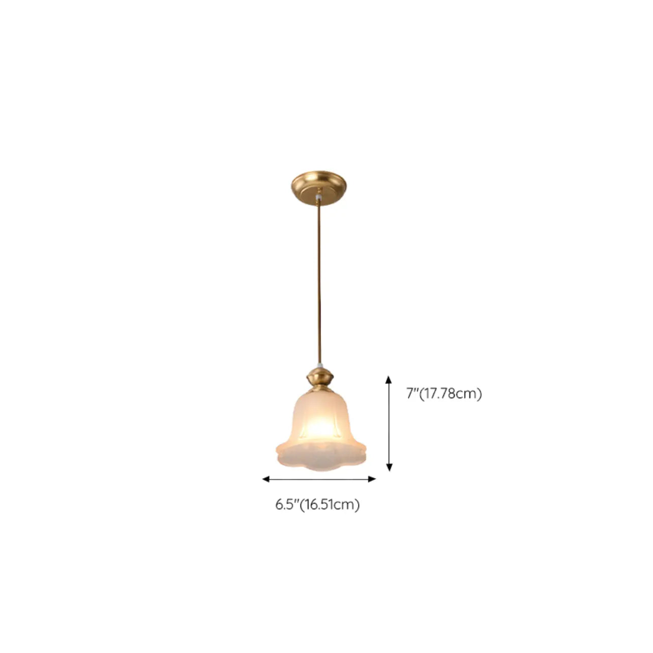 Indoor Clear Glass Pendant Lights Fixture with Adjustable Height