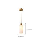 Indoor Clear Glass Pendant Lights Fixture with Adjustable Height