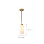 Indoor Clear Glass Pendant Lights Fixture with Adjustable Height