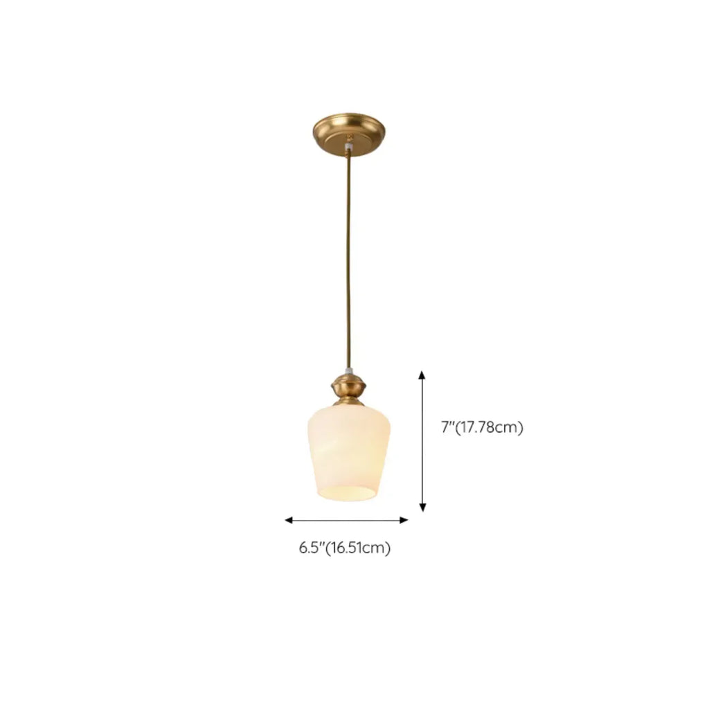 Indoor Clear Glass Pendant Lights Fixture with Adjustable Height