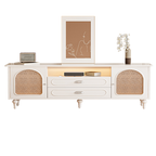 Modern Wood Curved Glass Door Black TV Stand with Light